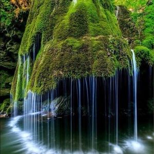 Meet your Posher, Theo